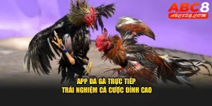 App đá gà trực tiếp