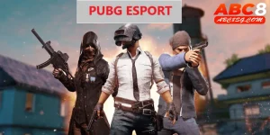 pubg esports