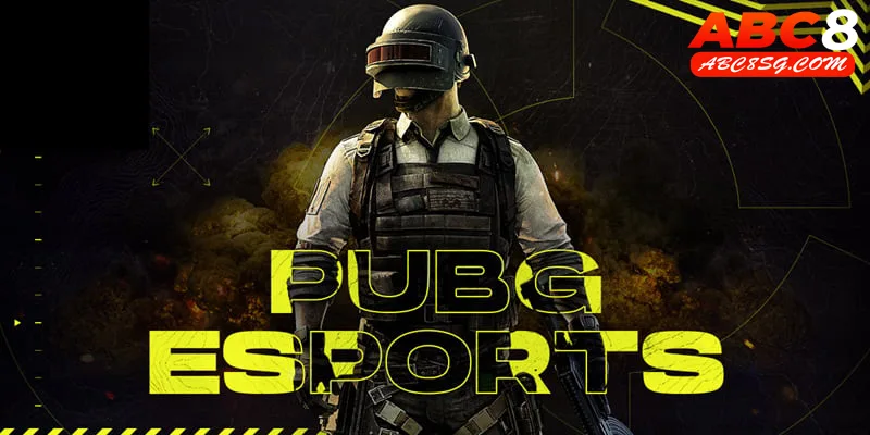 Tìm hiểu về PUBG Esport 