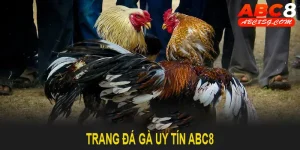 trang đá gà uy tín